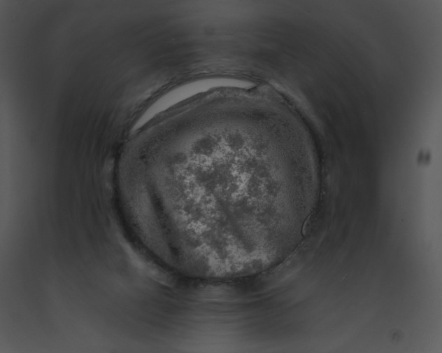X0000091360066200708311513