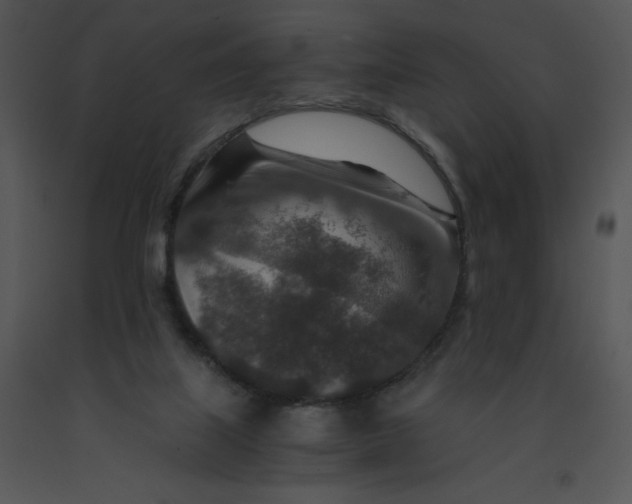 X0000091360067200708311513