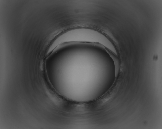 X0000091360068200708311513