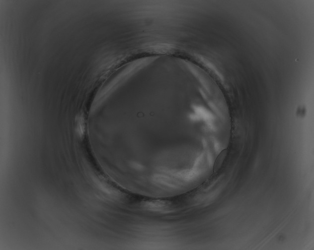 X0000091360069200708311513