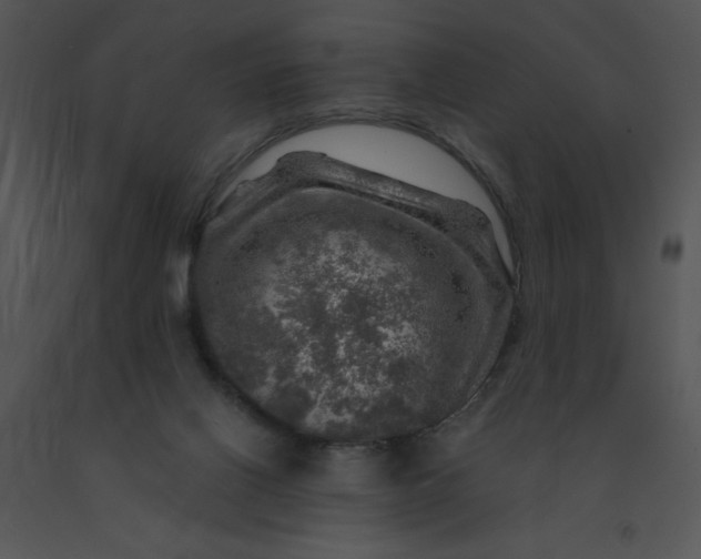 X0000091360070200708311513