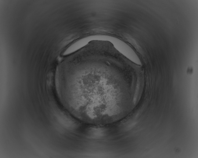 X0000091360071200708311513
