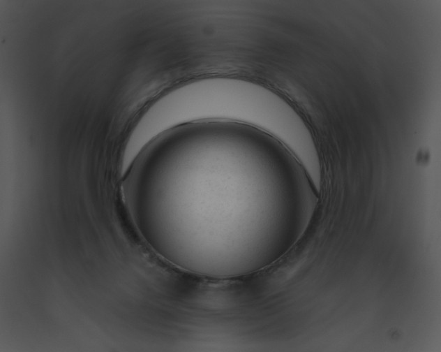 X0000091360072200708311513