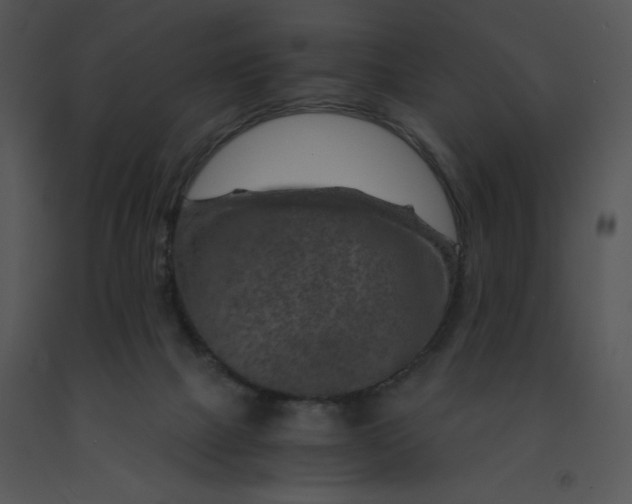 X0000091360073200708311513