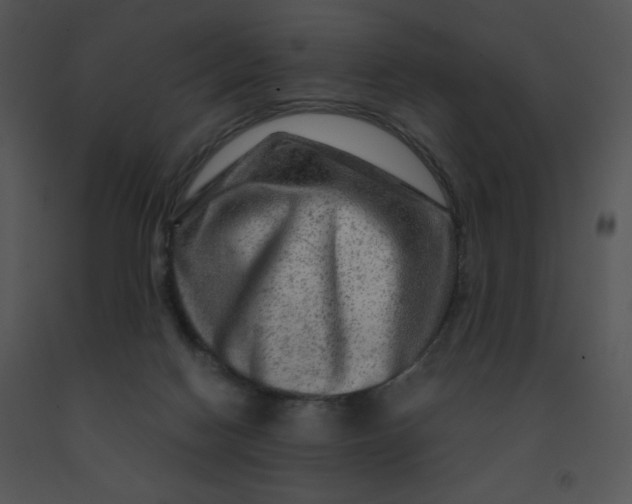 X0000091360074200708311513