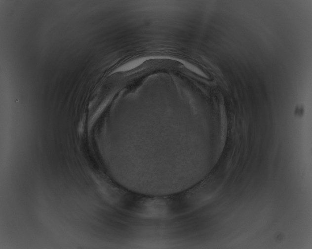 X0000091360075200708311513