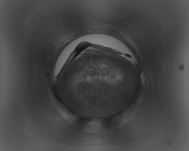 X0000091360076200708311513