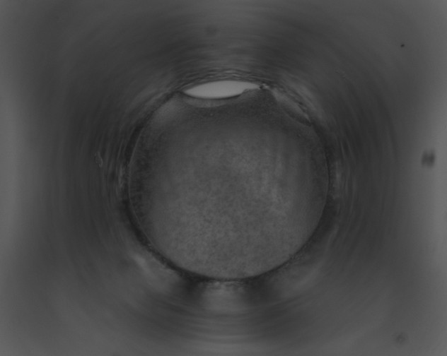 X0000091360077200708311513
