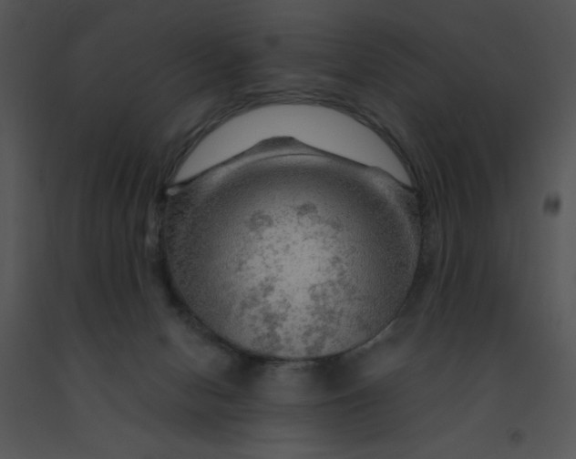 X0000091360078200708311513