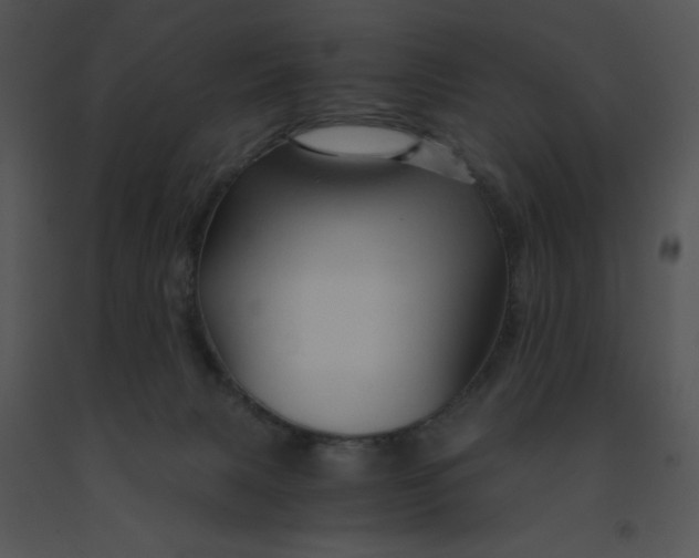 X0000091360079200708311513