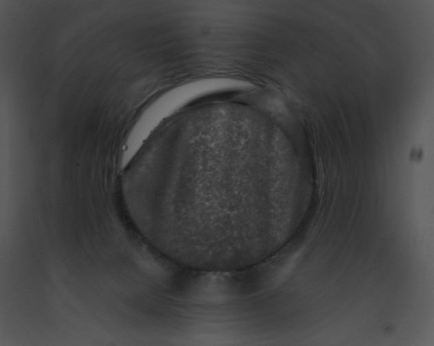 X0000091360080200708311513