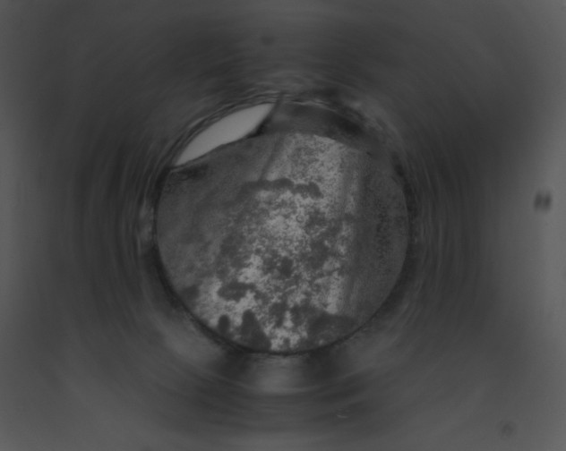X0000091360081200708311513