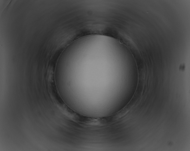 X0000091360083200708311513