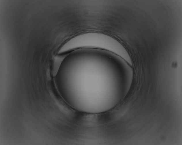 X0000091360084200708311513