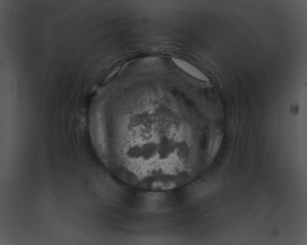 X0000091360085200708311513