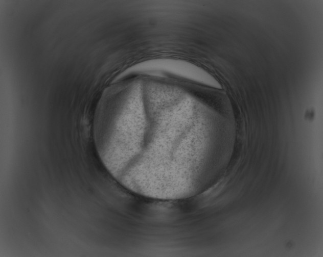 X0000091360086200708311513
