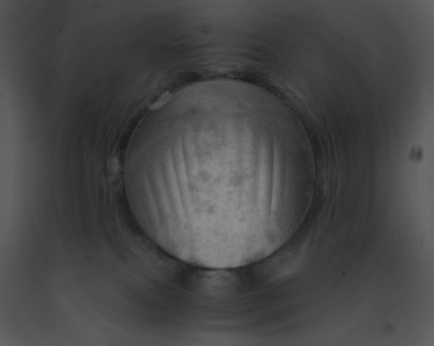 X0000091360087200708311513