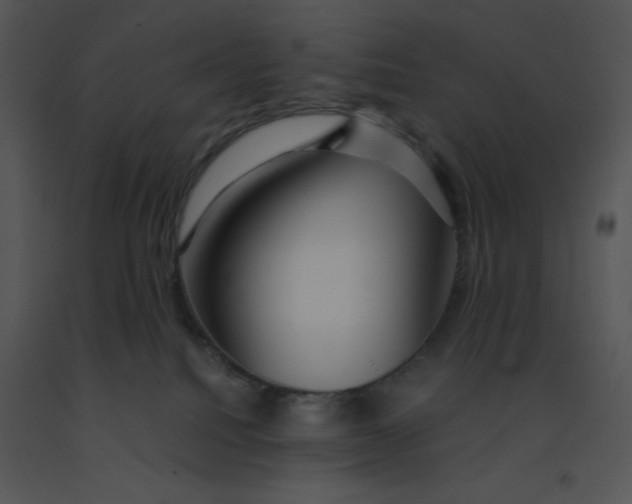 X0000091360088200708311513