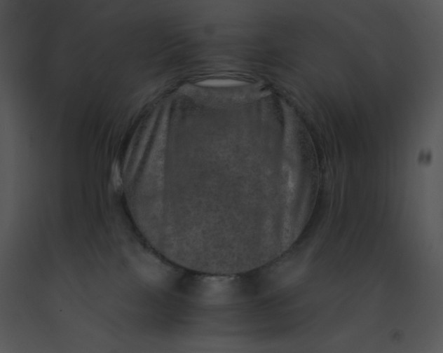X0000091360089200708311513