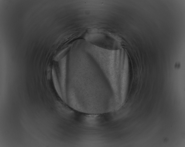 X0000091360090200708311513