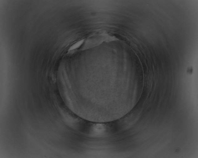 X0000091360091200708311513