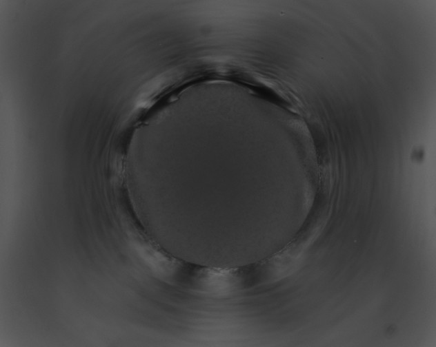X0000091360093200708311513