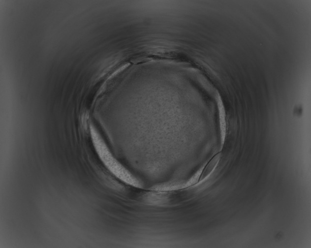 X0000091360094200708311513