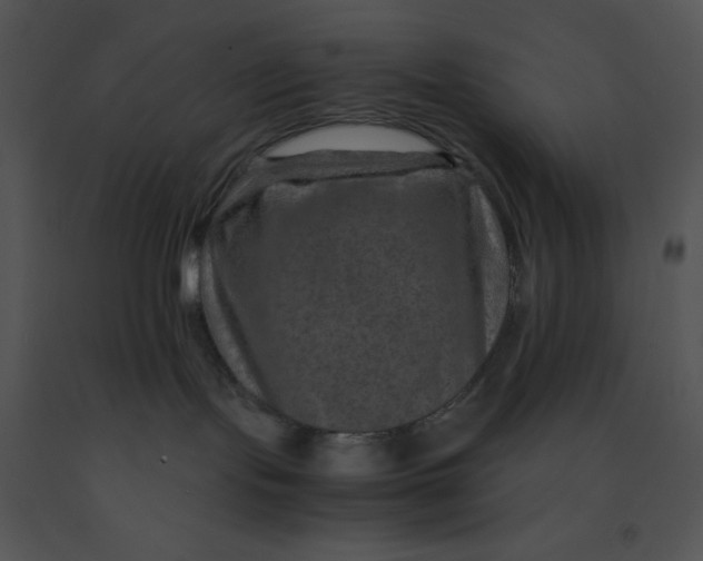 X0000091360095200708311513