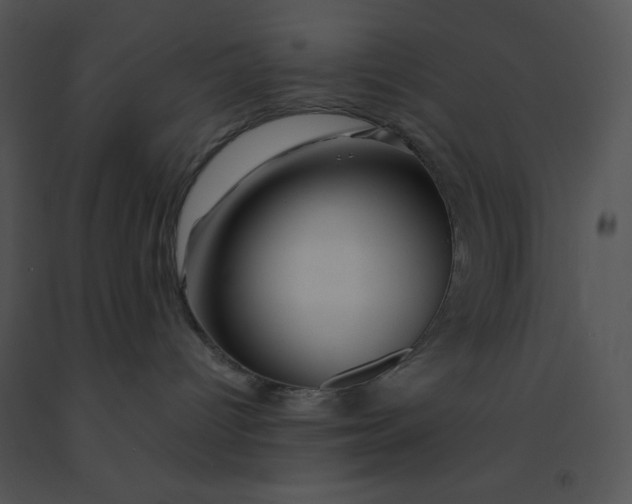 X0000091360096200708311513