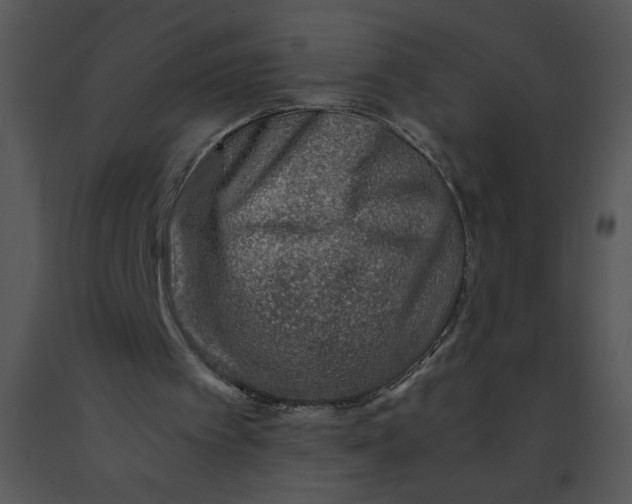 X0000091360097200708311513