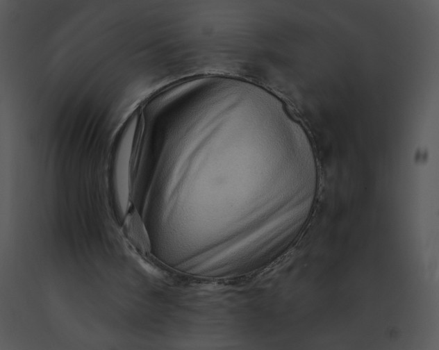 X0000091360098200708311513