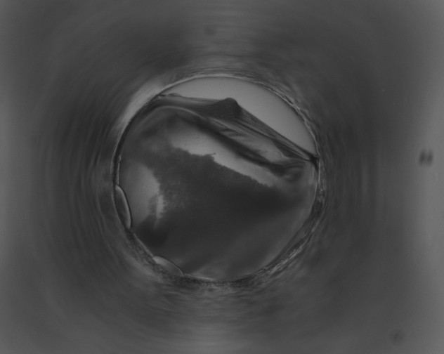 X0000091360099200708311513