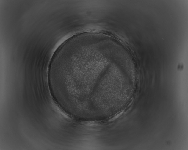 X0000091360100200708311513