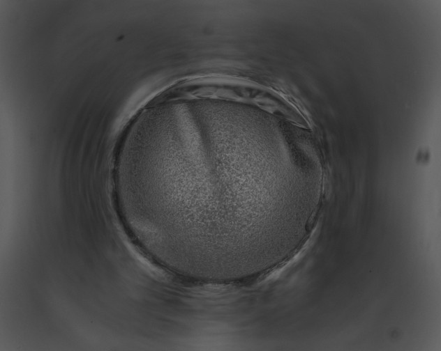 X0000091360101200708311513