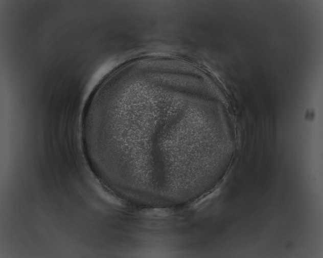 X0000091360102200708311513