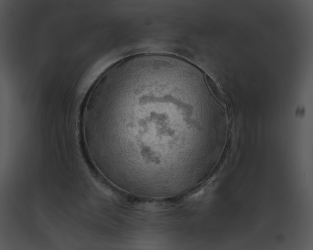 X0000091360103200708311513