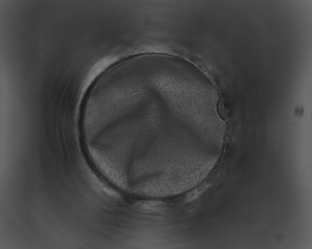 X0000091360104200708311513