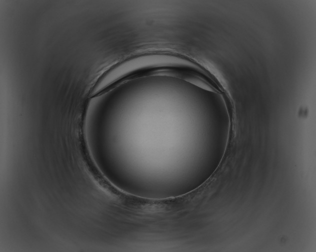 X0000091360105200708311513