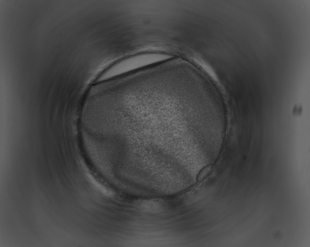 X0000091360106200708311513