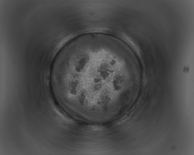 X0000091360107200708311513