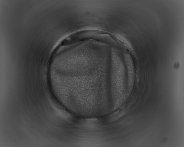 X0000091360108200708311513