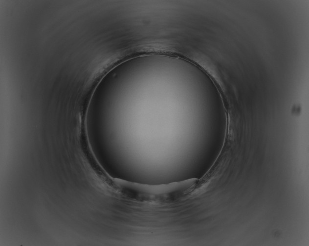 X0000091360109200708311513