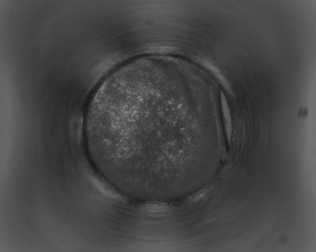 X0000091360110200708311513