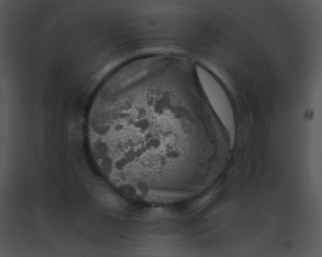 X0000091360111200708311513