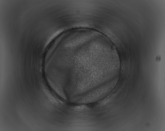 X0000091360112200708311513