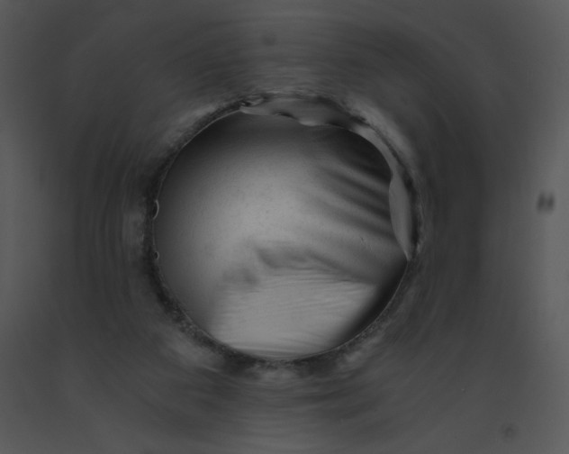X0000091360113200708311513