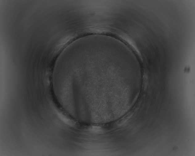 X0000091360114200708311513
