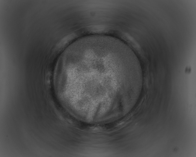X0000091360115200708311513