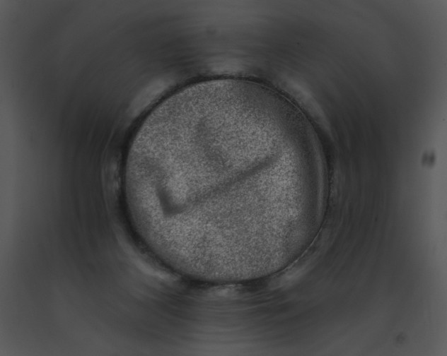 X0000091360116200708311513