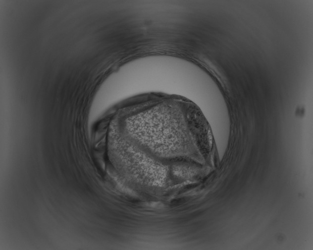 X0000091360117200708311513